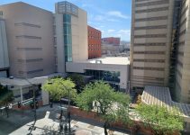 Unsecured BaiI Bonds in Nevada